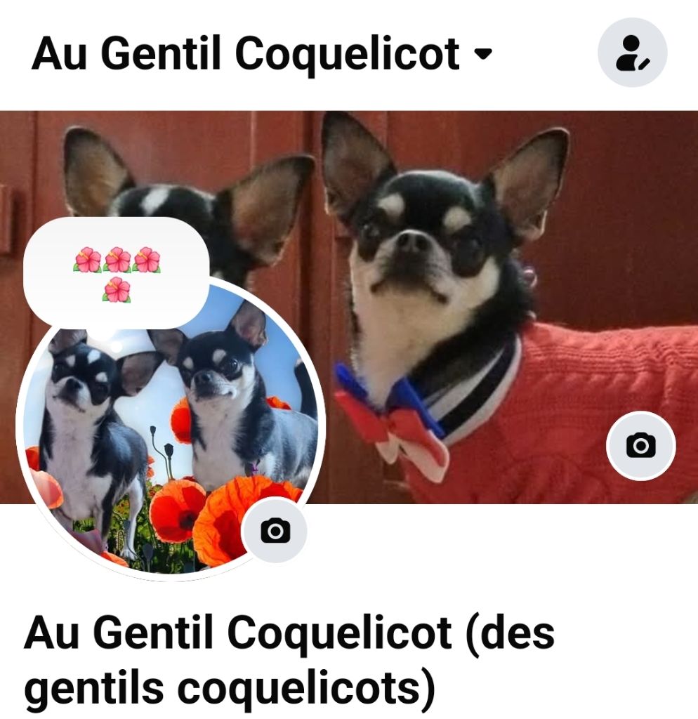 PAGE FACEBOOK 